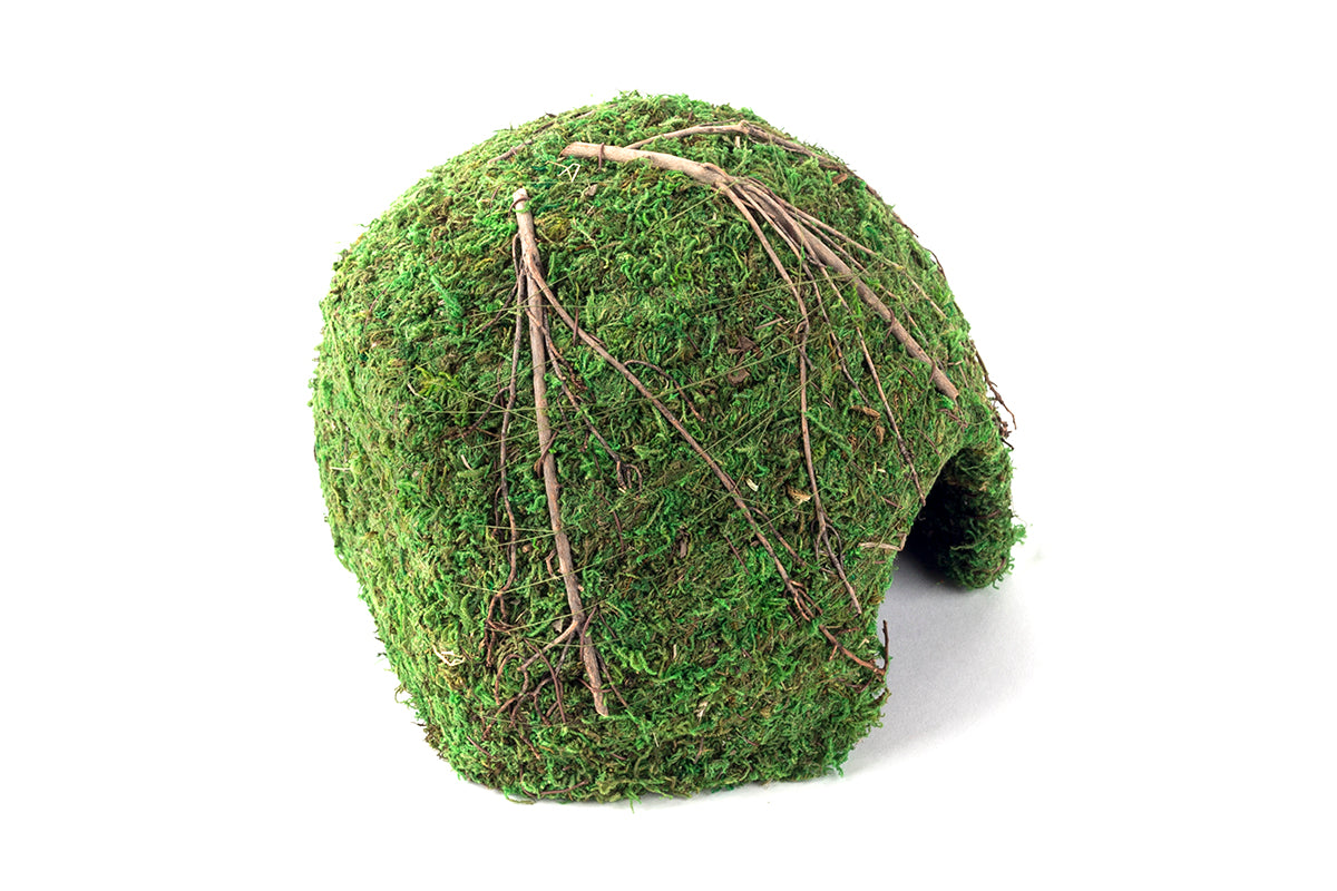 Mossy Dome 9" Green