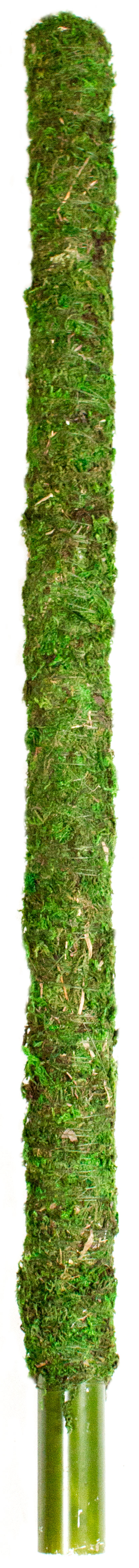 Mossy Pole 30"