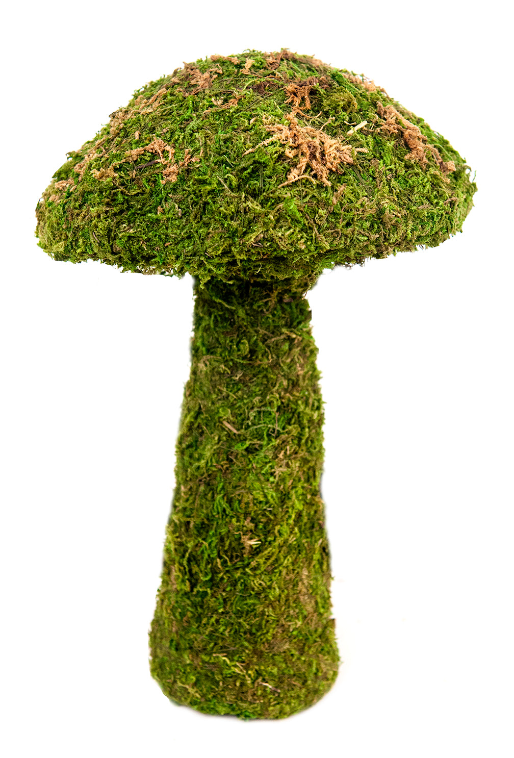 Mossy Mushroom Large 21"