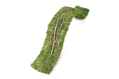 Mossy Flexible Bridge 2ft