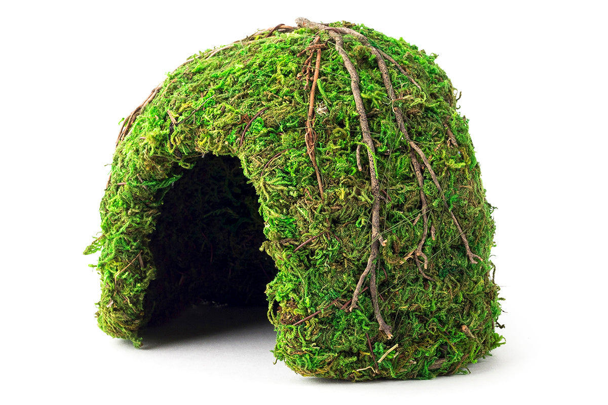 Mossy Dome 6" Green