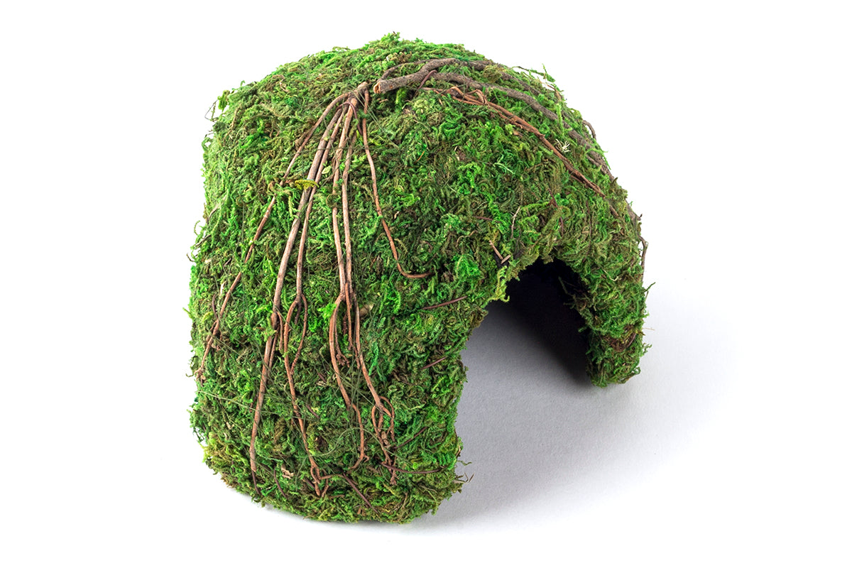 Mossy Dome 6" Green