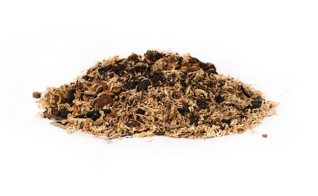 BioActive Soil Mix 24qt – Galapagos Reptile Gear