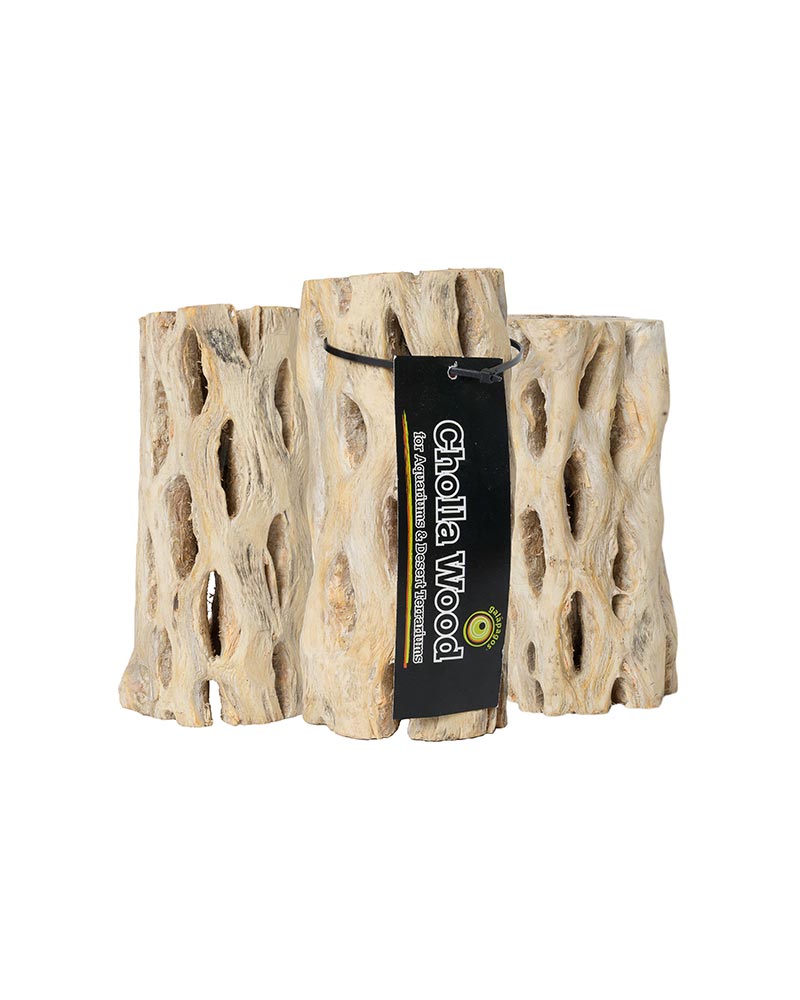 Cholla Wood 6" 3 Pack