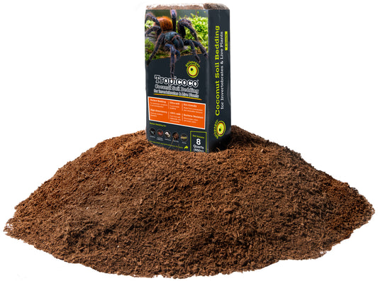 TropiCoco Brick Invert 8qt