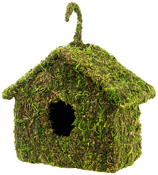 Moss House Maison Small