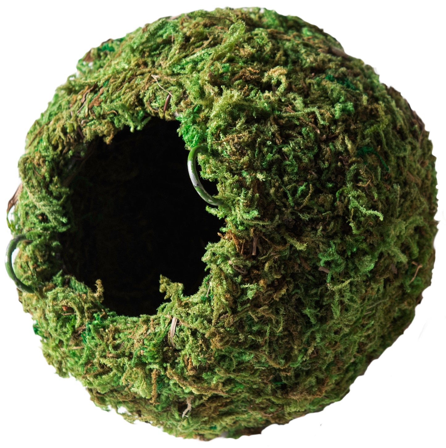 Mossy Cave 4" Green