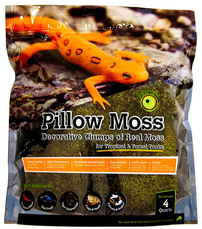Pillow Moss 4qt
