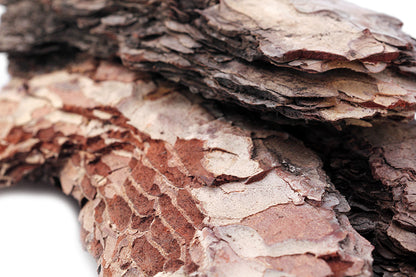 Basking Bark 1ft