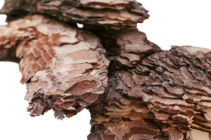 Basking Bark 1ft