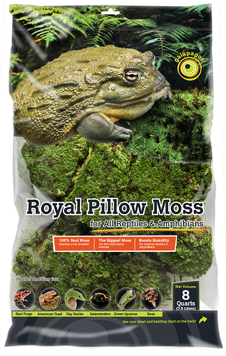 Royal Pillow Moss 8qt