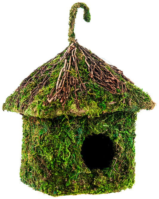 Moss House Shack Small