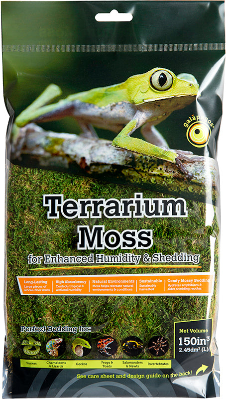 Sheet Moss Mini Bag