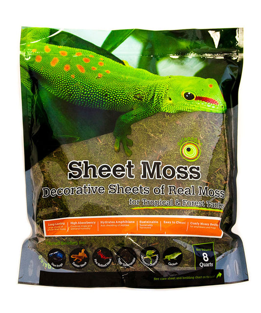 Sheet Moss 8qt