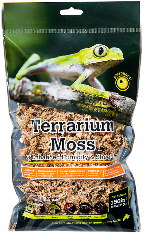 Golden Sphagnum Moss Mini Bag