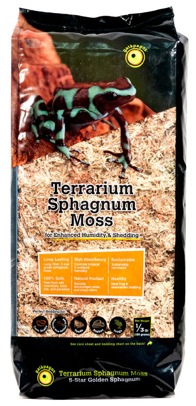 Golden Sphagnum Moss 1/3lb Bag