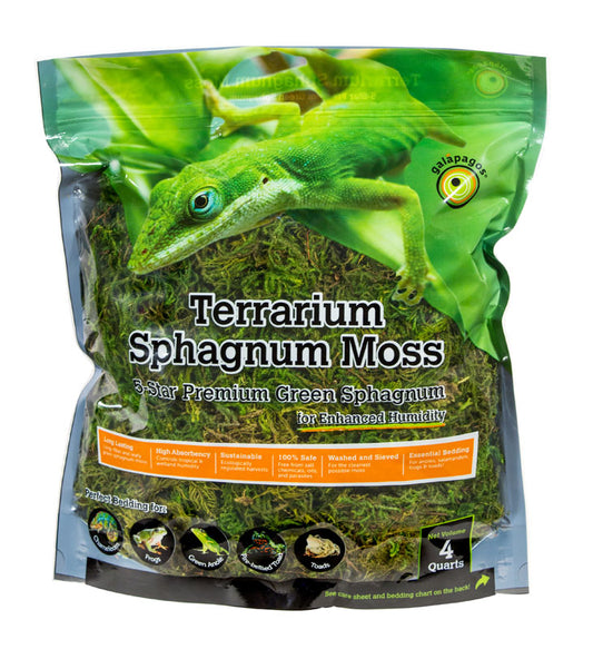 Green Sphagnum Moss 4qt