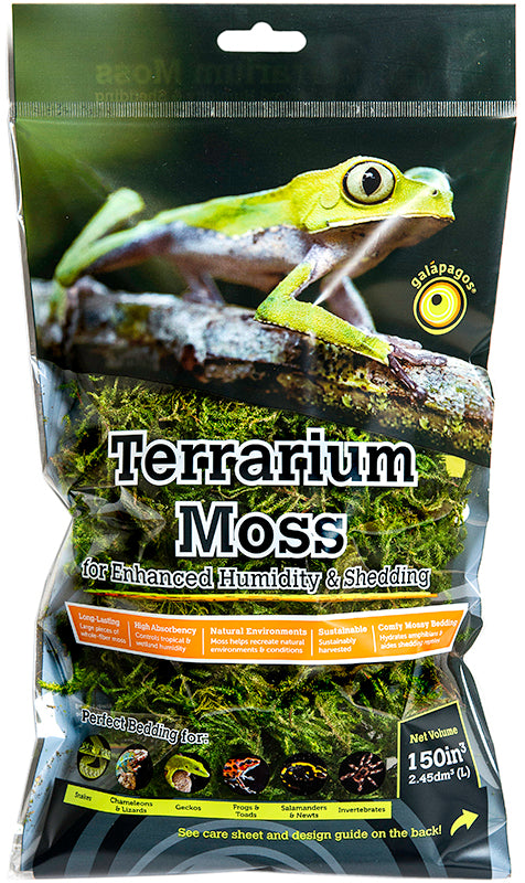 Green Sphagnum Moss Mini Bag