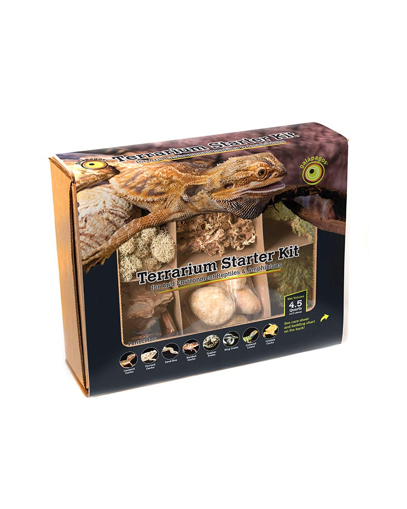 Terrarium Kit Arid