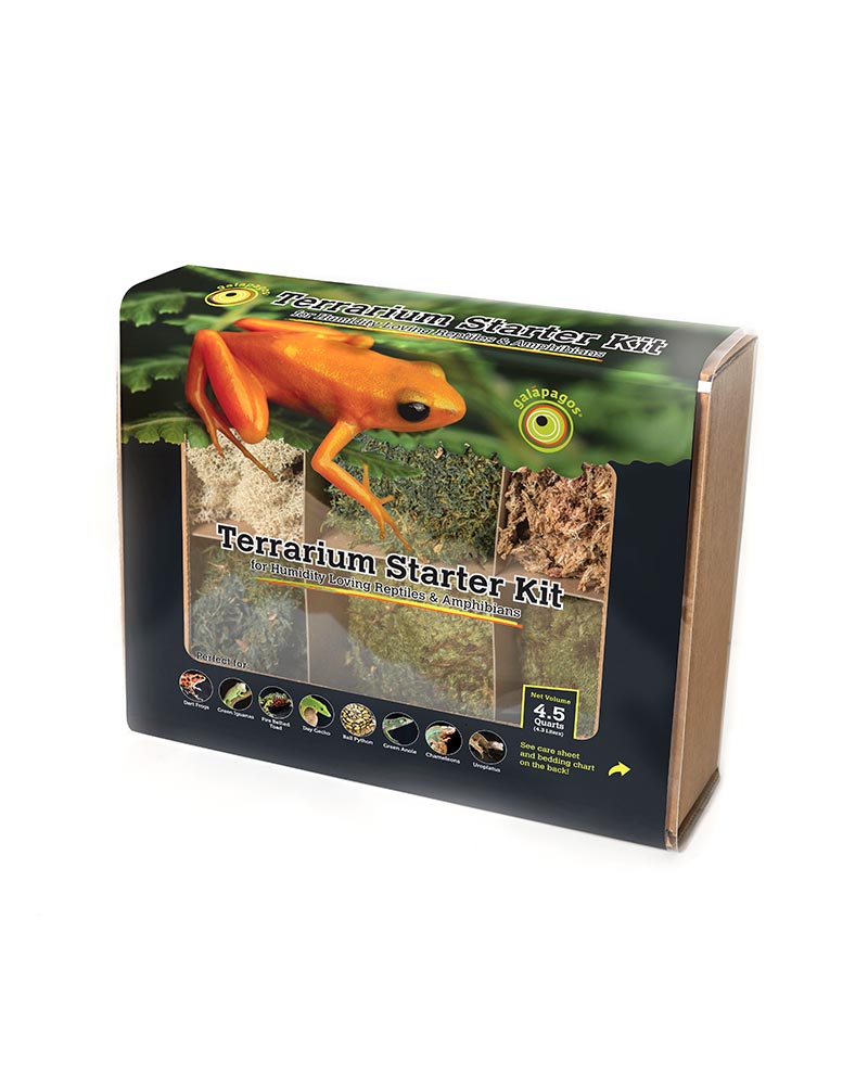Terrarium Kit Humid
