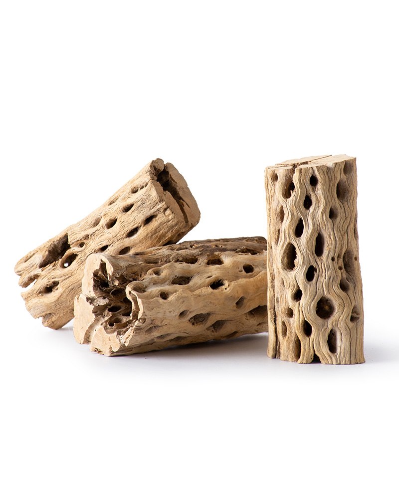 Cholla Wood 6" 3 Pack