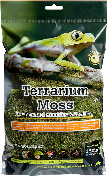 Pillow Moss Mini Bag