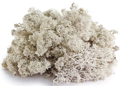 Reindeer Moss Mini Bag