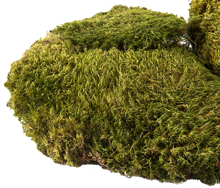 Pillow Moss Mini Bag