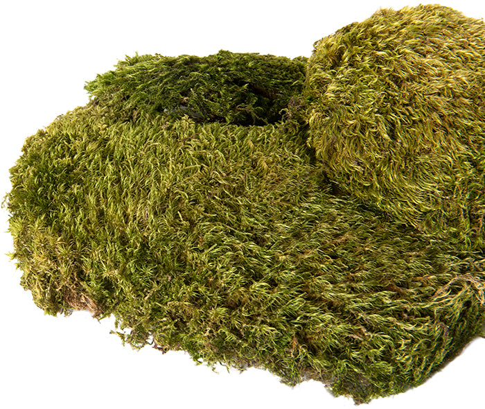 Pillow Moss Mini Bag
