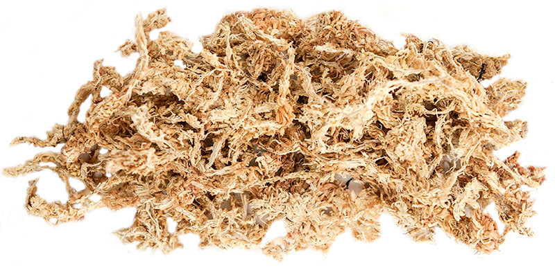 Golden Sphagnum Moss 1/3lb Bag