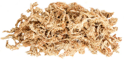 Golden Sphagnum Moss 1/3lb Bag